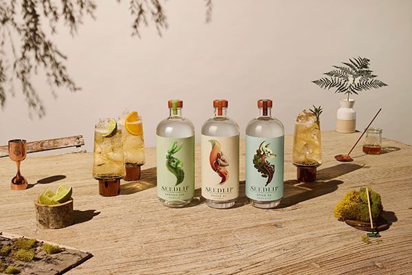 Hoe smaakt alcoholvrije gin?